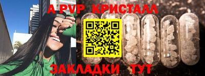 сатива Канаш