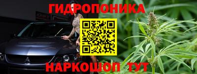ALPHA PVP Камышлов