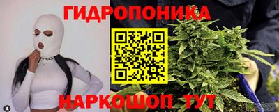 сатива Канаш