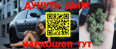 сатива Канаш