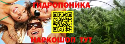 сатива Канаш