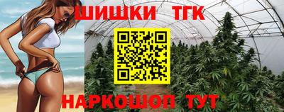 ALPHA PVP Камышлов