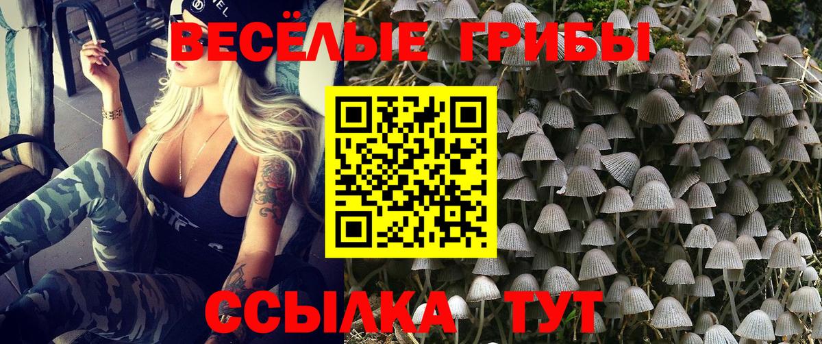 Псилоцибиновые грибы Psilocybe  Вход с VPN  Псилоцибиновые грибы Cubensis  Можайск 